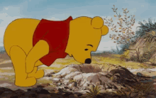 Hello Pooh GIF - Hello Pooh Winnie The Pooh GIFs