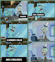 a cartoon of squidward talking to a border collie and a malinois