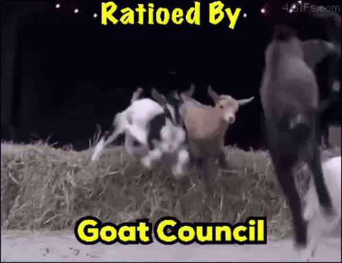 Goat Council Kylen Back W GIF - Goat Council Kylen Back W Kylen4kt GIFs