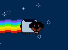 Nyan Toaster Dog Cute GIF - Nyan Toaster Dog Cute Rainbow GIFs