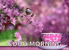 Flower Tea GIF - Flower Tea Good Morning GIFs