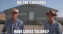 napoleon dynamite chickens talons dothechickenshavelargetalons