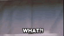 What Question GIF - What Question Turning Red GIFs