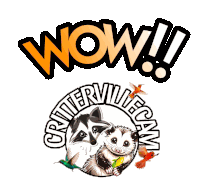 a raccoon and an opossum are surrounded by hummingbirds in a wow logo