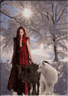 Lady Wolf GIF - Lady Wolf Snow GIFs