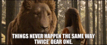 Aslan Things Never Happen The Same Way Twice GIF - Aslan Things Never Happen The Same Way Twice Dear One GIFs