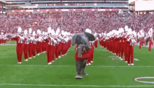 Alabama Marching Band GIF