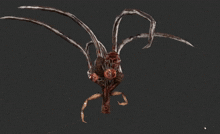 Plaga Parasite GIF - Plaga Parasite Resident Evil 4 GIFs