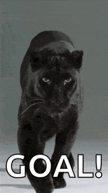 a picture of a black panther with the words goal written below it
