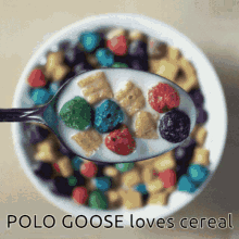 Polo Goose GIF