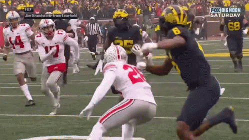 Michigan Michigan Football GIF - Michigan Michigan Football Michigan  Wolverines - Discover & Share GIFs