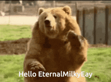 Hello Eternalmilkyeay GIF - Hello Eternalmilkyeay GIFs