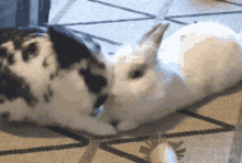 Cuddles Attention GIF - Cuddles Attention Bunny GIFs