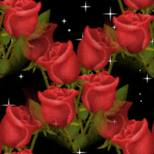 Roses Flowers GIF - Roses Flowers Sparkle GIFs