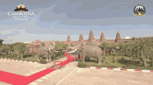 Phnom Penh Cambodia Tour GIF