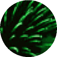 a green circle with a white background and a few lines on it