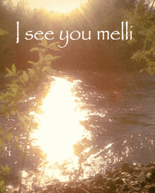 a picture of a river with the words " i see you melli "