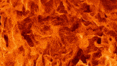 a close up of a fire that looks like it could be used as a background