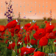 Lest We Forget Rememberance Day GIF - Lest We Forget Rememberance Day Remembering GIFs