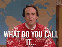 What Do You Call It Kevin Nealson GIF - What Do You Call It Kevin Nealson Snl GIFs