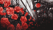 Welcome Roses GIF - Welcome Roses Rose GIFs