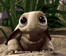 a cartoon turtle sitting on a rock with a caption in a foreign language