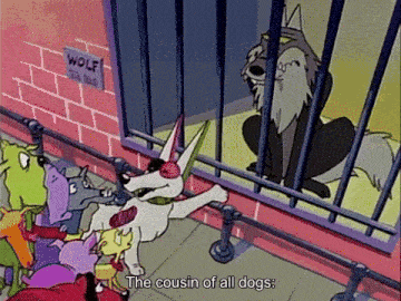 Rude Dog explains that the wolf is the cousin of all dogs