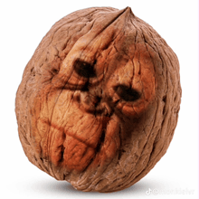 a walnut has a face carved into it
