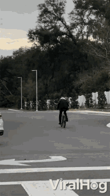 Riding Bike Cat GIF - Riding Bike Cat Chilling GIFs