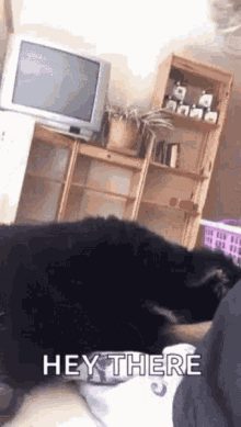 Hey There Dogs GIF - Hey There Dogs GIFs