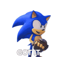 got it sonic the hedgehog sonic prime roger that copy that