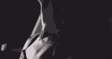 a black and white photo of a woman 's torso and neck .