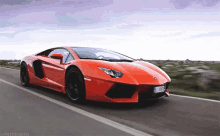 Lamborghini - Car GIF