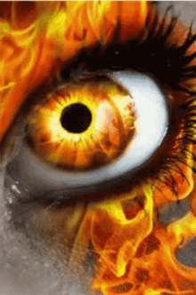 Fire Eye GIF - Fire Eye GIFs