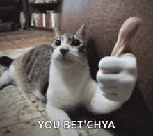 a cat giving a thumbs up with the words you bet chya underneath it
