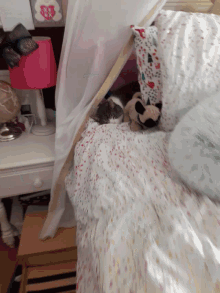 Bed Cutie GIF - Bed Cutie Cat GIFs