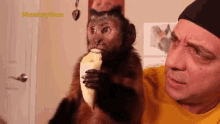 Eating Capuchin Monkey GIF
