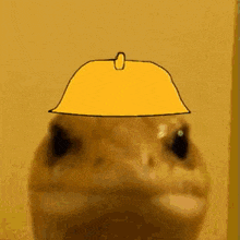 a lizard wearing a yellow hard hat on its head .