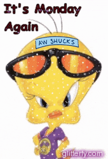 tweety wearing sunglasses and a sign that says aw shucks on it