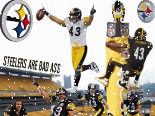 97 Troy Polamalu Interception Photos  High Res Pictures  Getty Images