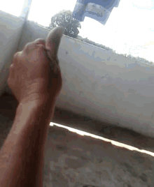 a person giving a thumbs up in front of a white wall