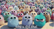Angry Birds Why U Did That GIF - Angry Birds Why U Did That Upset GIFs