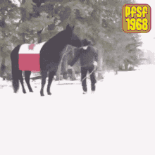 pfsf1968 horse