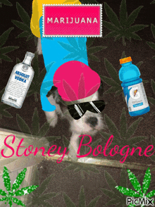 Stoney Bologne 1td GIF - Stoney Bologne 1td 1traitdanger GIFs