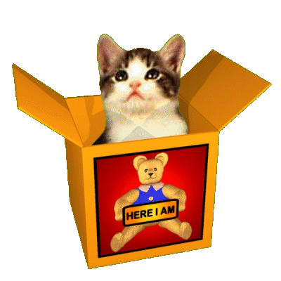 Here I Am Jack In The Box Sticker - Here I Am Jack In The Box Kitten In Box Stickers