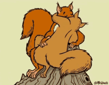 Cute Squirrel GIF - Cute Squirrel Koobiiuv GIFs