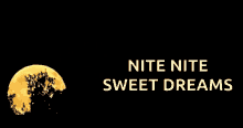 Nite Nite Sweet Dreams GIF - Nite Nite Sweet Dreams Full Moon GIFs