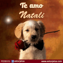 Te Amo Natali GIF - Te Amo Natali I Love You GIFs