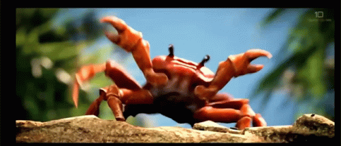 crab-dancing.gif