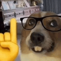 Actually Nerd GIF - Actually Nerd - Discover & Share GIFs